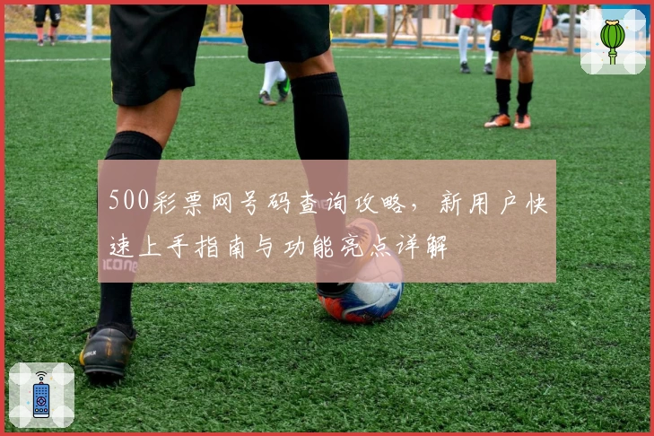 500彩票网号码查询攻略，新用户快速上手指南与功能亮点详解
