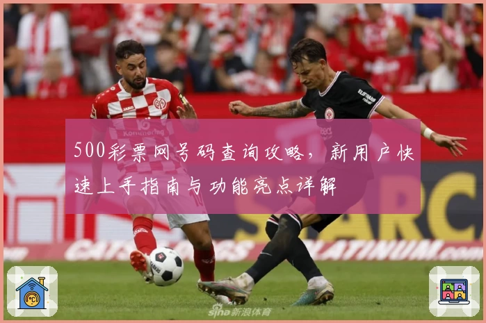 500彩票网号码查询攻略，新用户快速上手指南与功能亮点详解