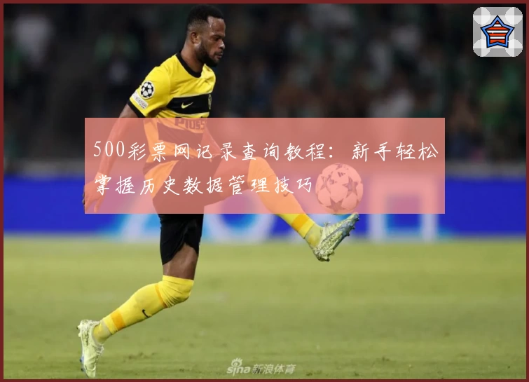 500彩票网记录查询教程：新手轻松掌握历史数据管理技巧