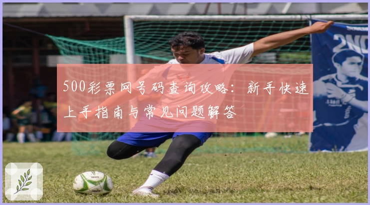 500彩票网号码查询攻略：新手快速上手指南与常见问题解答
