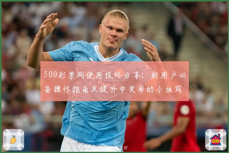 500彩票网使用技巧分享：新用户必备操作指南及提升中奖率的小诀窍