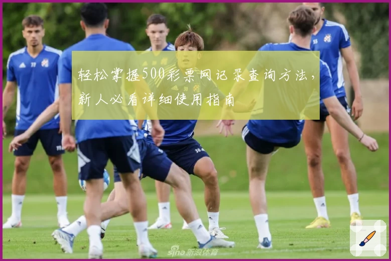 轻松掌握500彩票网记录查询方法，新人必看详细使用指南
