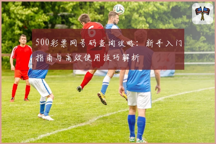 500彩票网号码查询攻略：新手入门指南与高效使用技巧解析